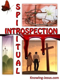 Spiritual Introspection - Man’s Nature and Destiny (19)